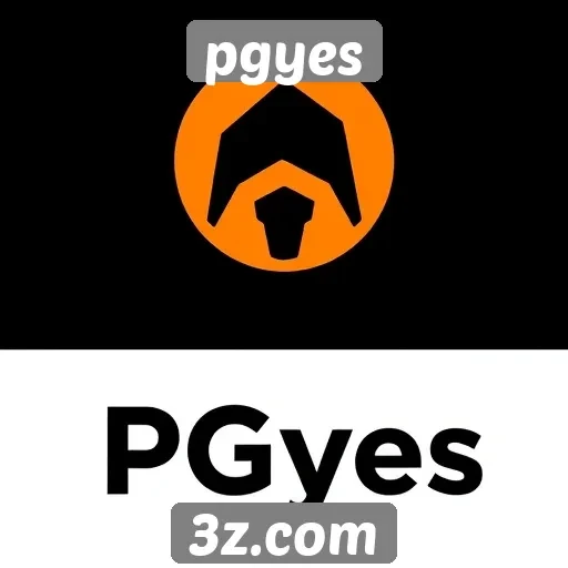 Visão geral do site de jogos Pgyes